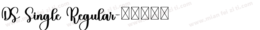 DS Single Regular字体转换